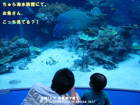 IMG_3355.jpg